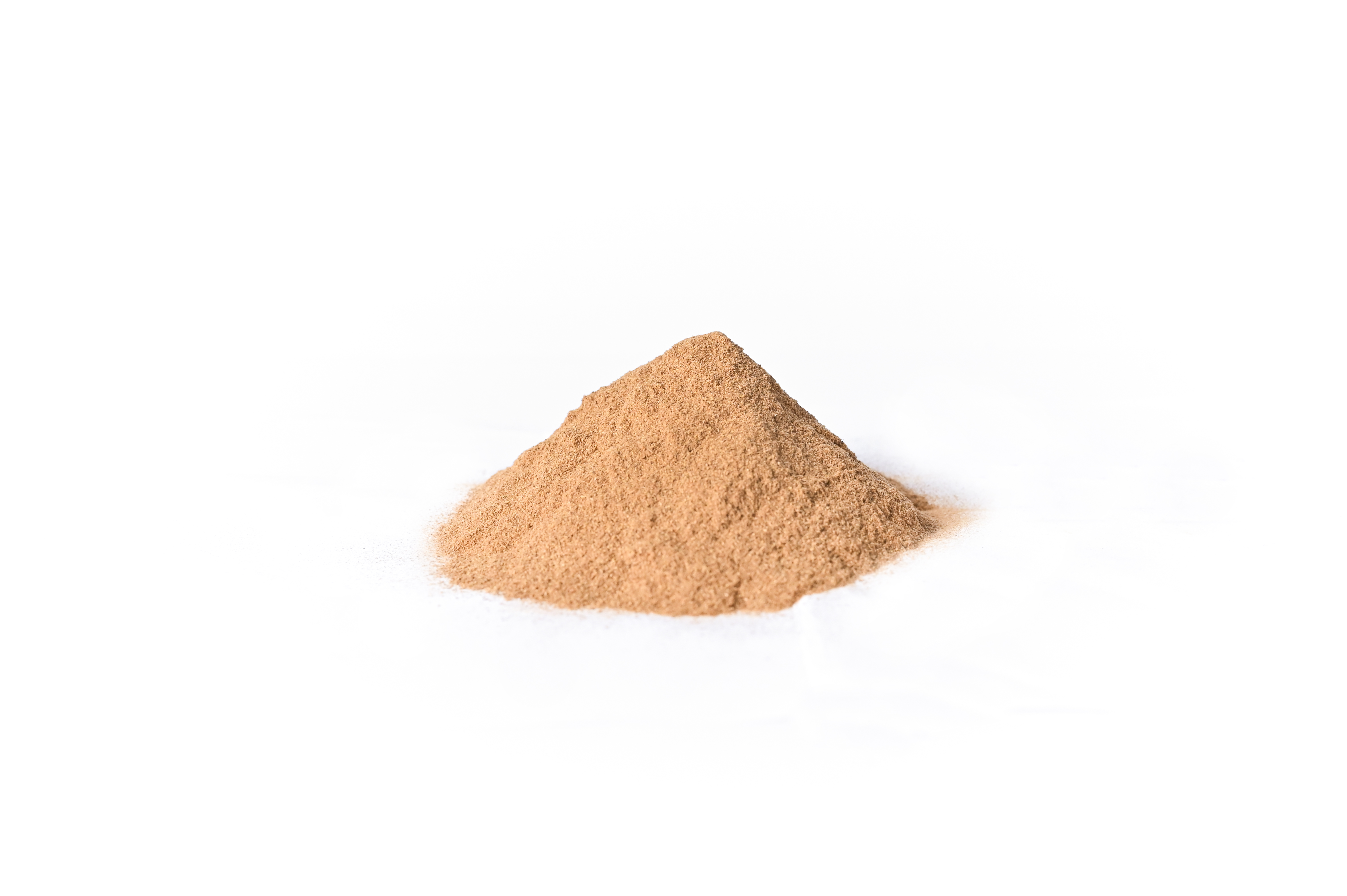Cinnamon Powder